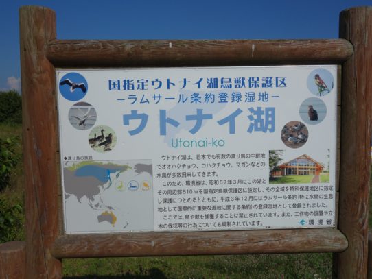 北海道　ウトナイ湖（道の駅）